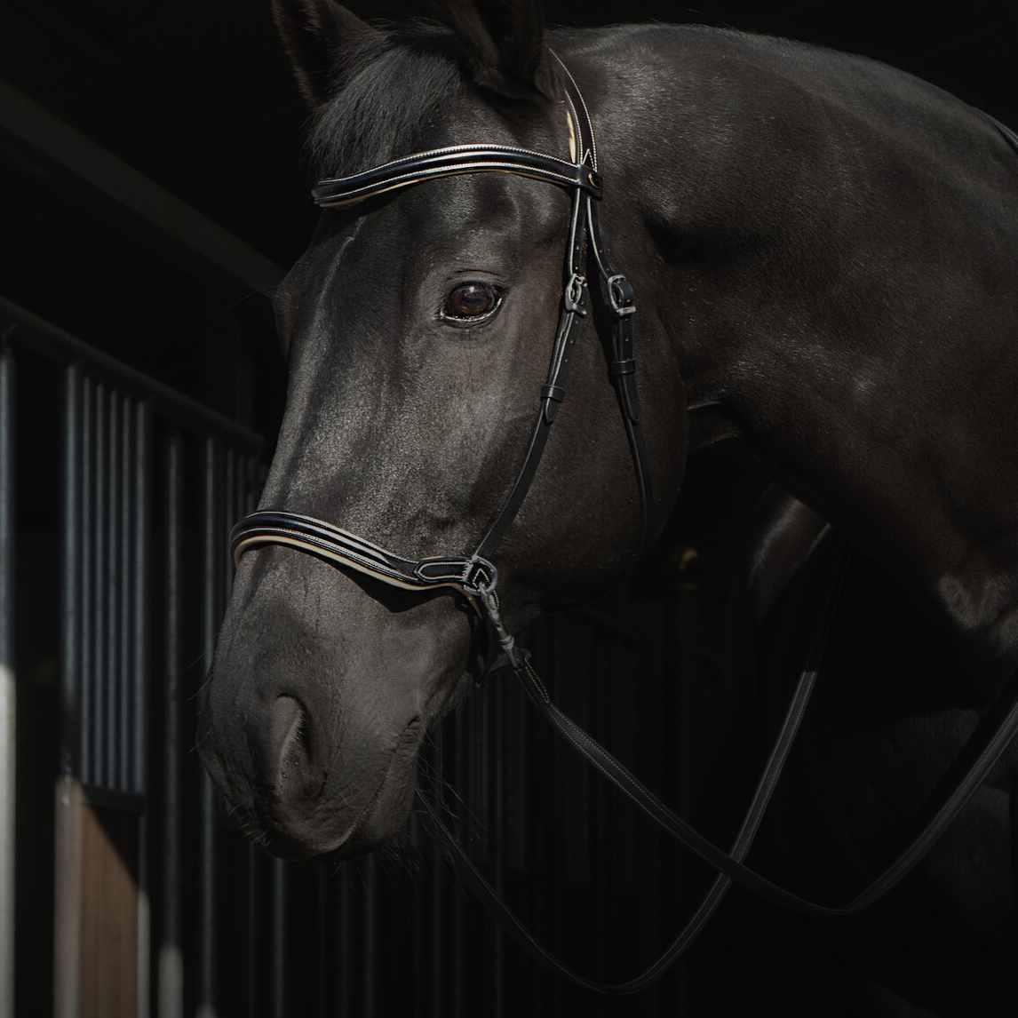 Sidepull Dressage F.R.A® Kiona, anatomiskt, inkl. tyglar, svart - 3
