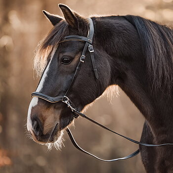 Sidepull Dressage F.R.A® Kiona, anatomiskt, inkl. tyglar, svart