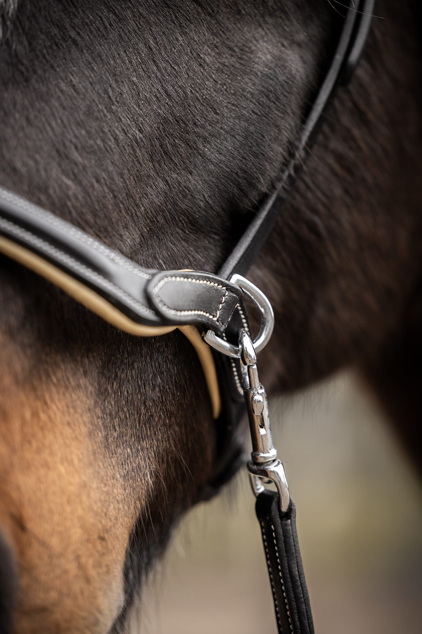 Sidepull Dressage F.R.A® Kiona, anatomiskt, inkl. tyglar, brun - 5