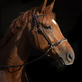 Sidepull Dressage F.R.A® Kiona, anatomiskt, inkl. tyglar, brun