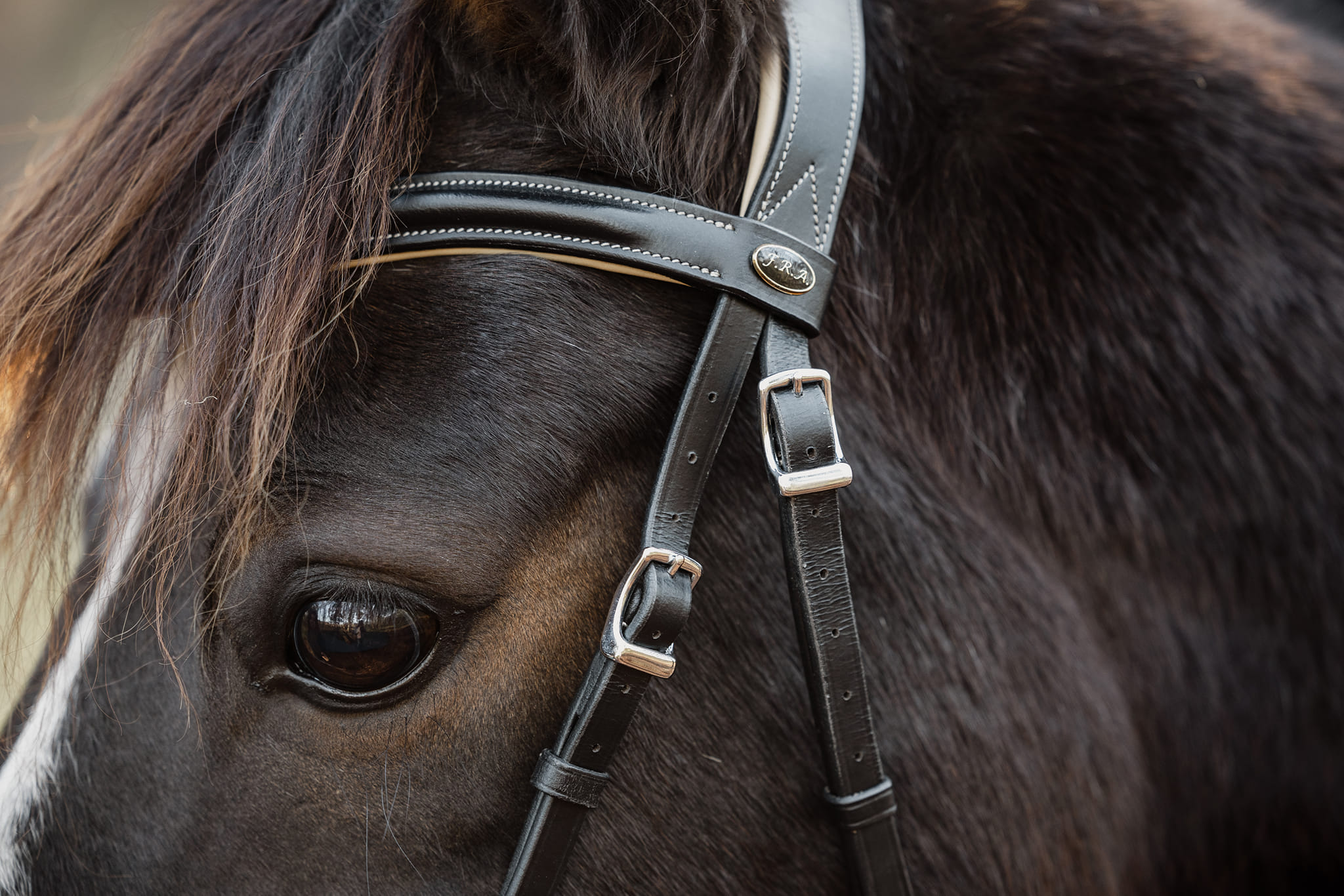Sidepull Dressage F.R.A® Kiona, anatomiskt, inkl. tyglar, brun - 4