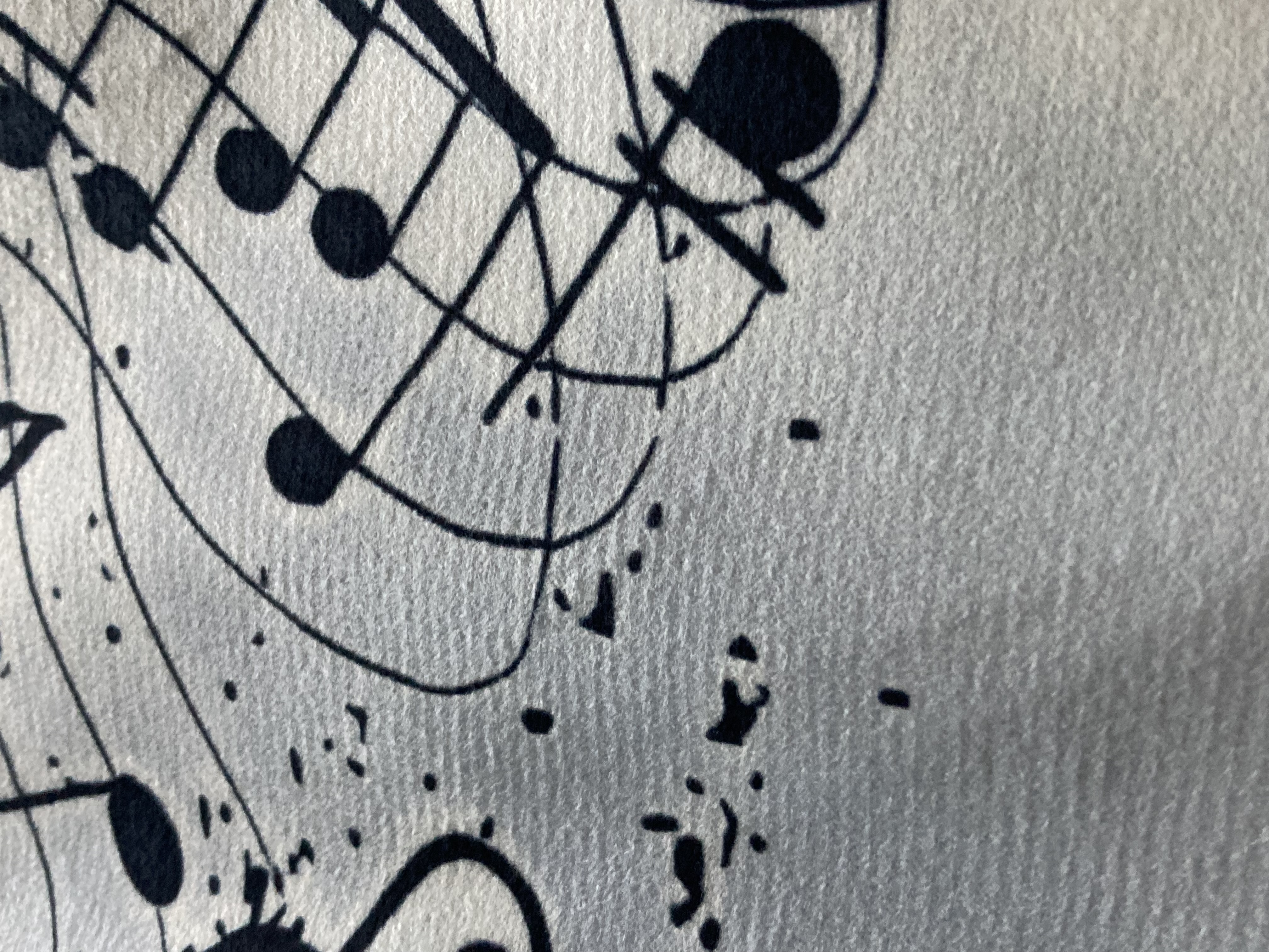 Kuddfodral Svart-Vit Musik - 2