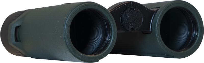 Focus Observer 8x34 HD - 6