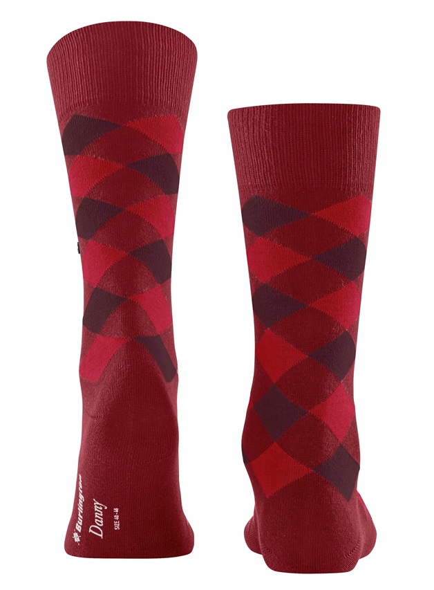 Burlington Danny Men Socks - 2
