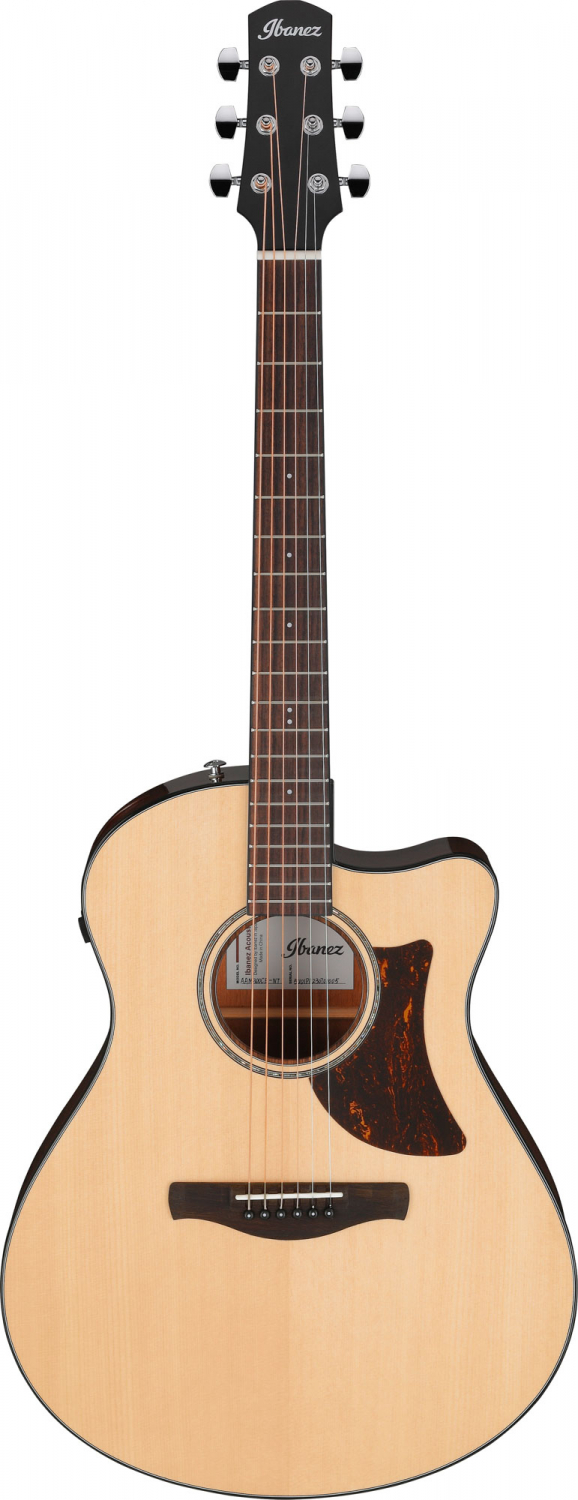 Ibanez  AAM300CE-NT
