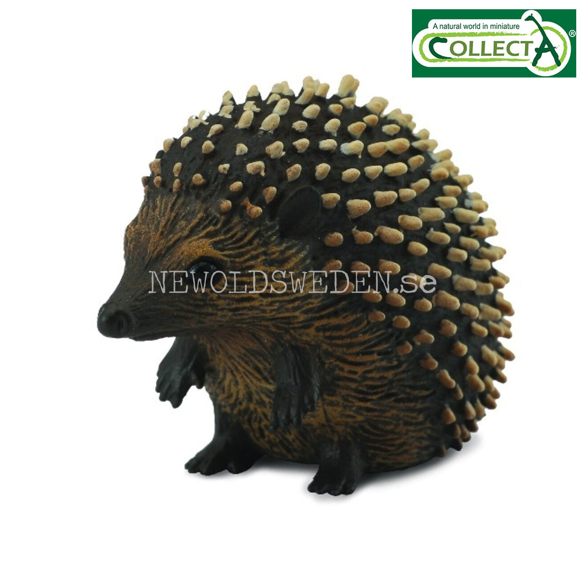 Hedgehog S - 4 x 2.5 cm - CollectA