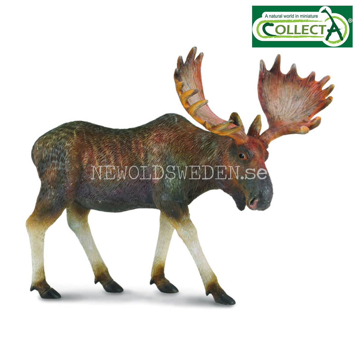 Moose L - 12.5 x 6.7 cm - CollectA