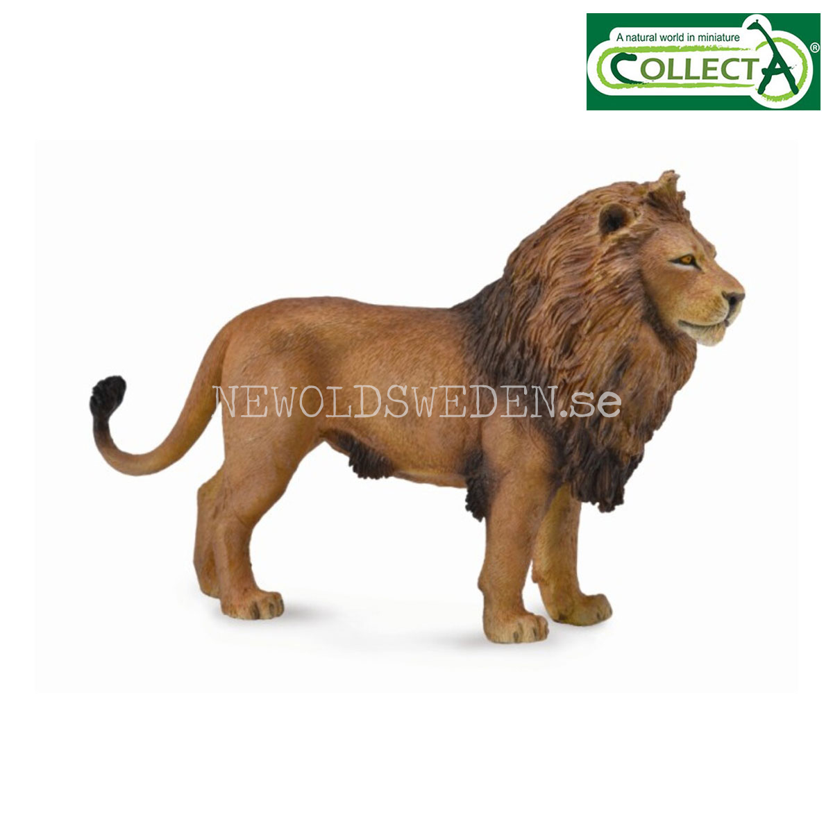 African Lion L  - 14 x 9 cm - CollectA
