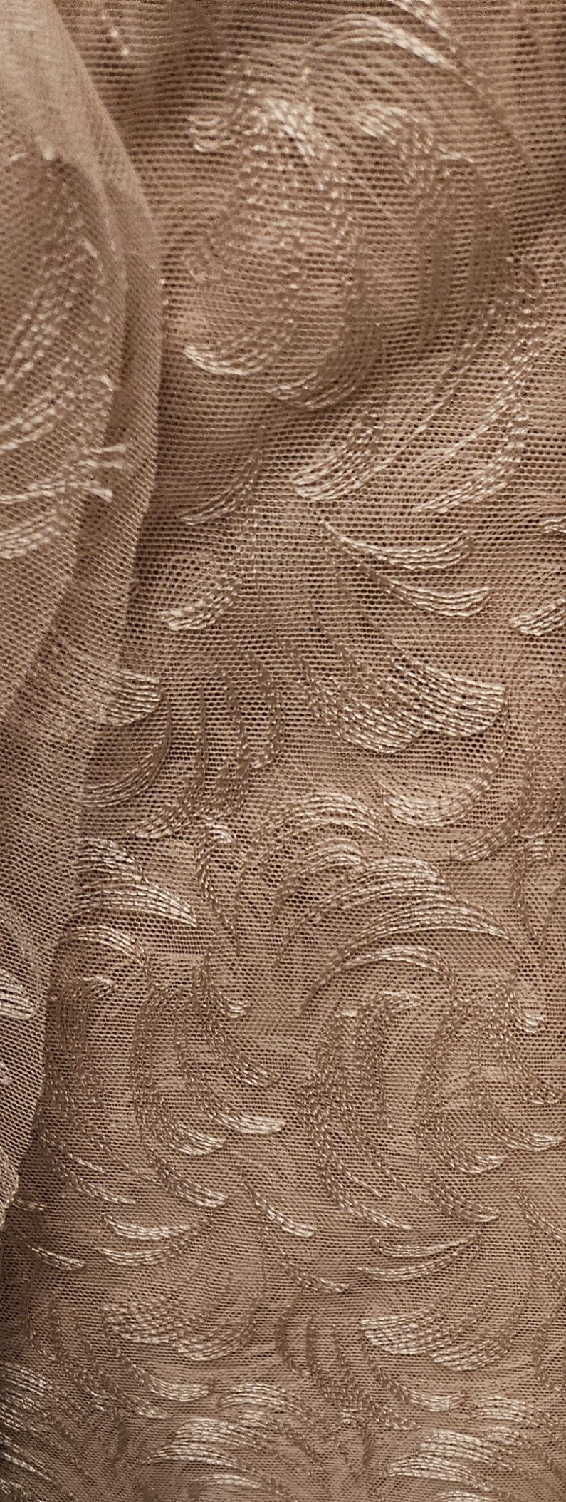 Non-stretch lace in Ivory or Beige - fullwidth - 3