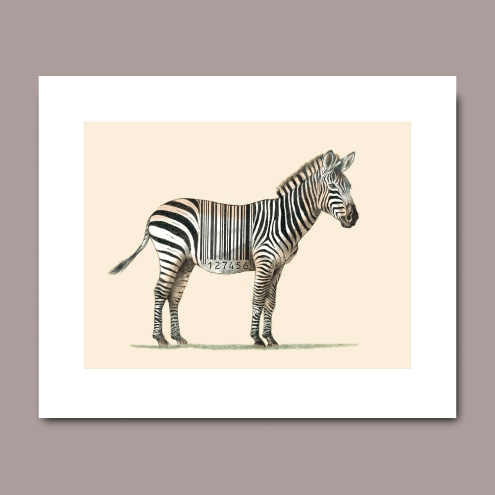 Zebrakod, litografi