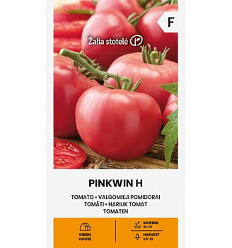 TomatPinkwin H