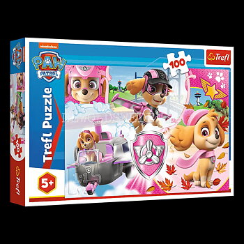 PAW PATROL - Puzzle - 100 bitar - 41 x 27.5 cm