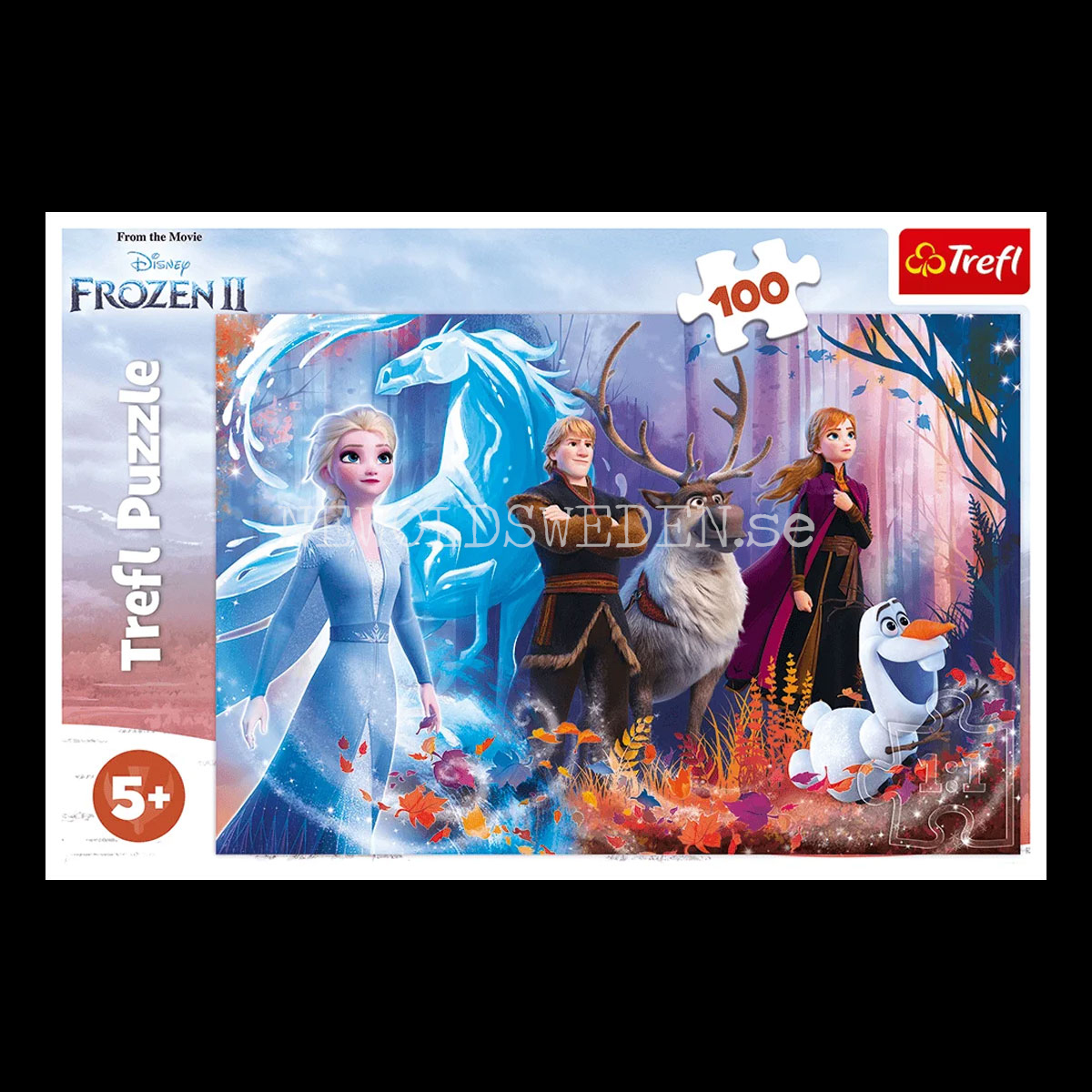 DISNEY FROZEN II ANNA & ELSA - Puzzle - 100 bitar - 41 x 27.5 cm - 3