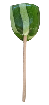 Klippklubba Äpple  60 st