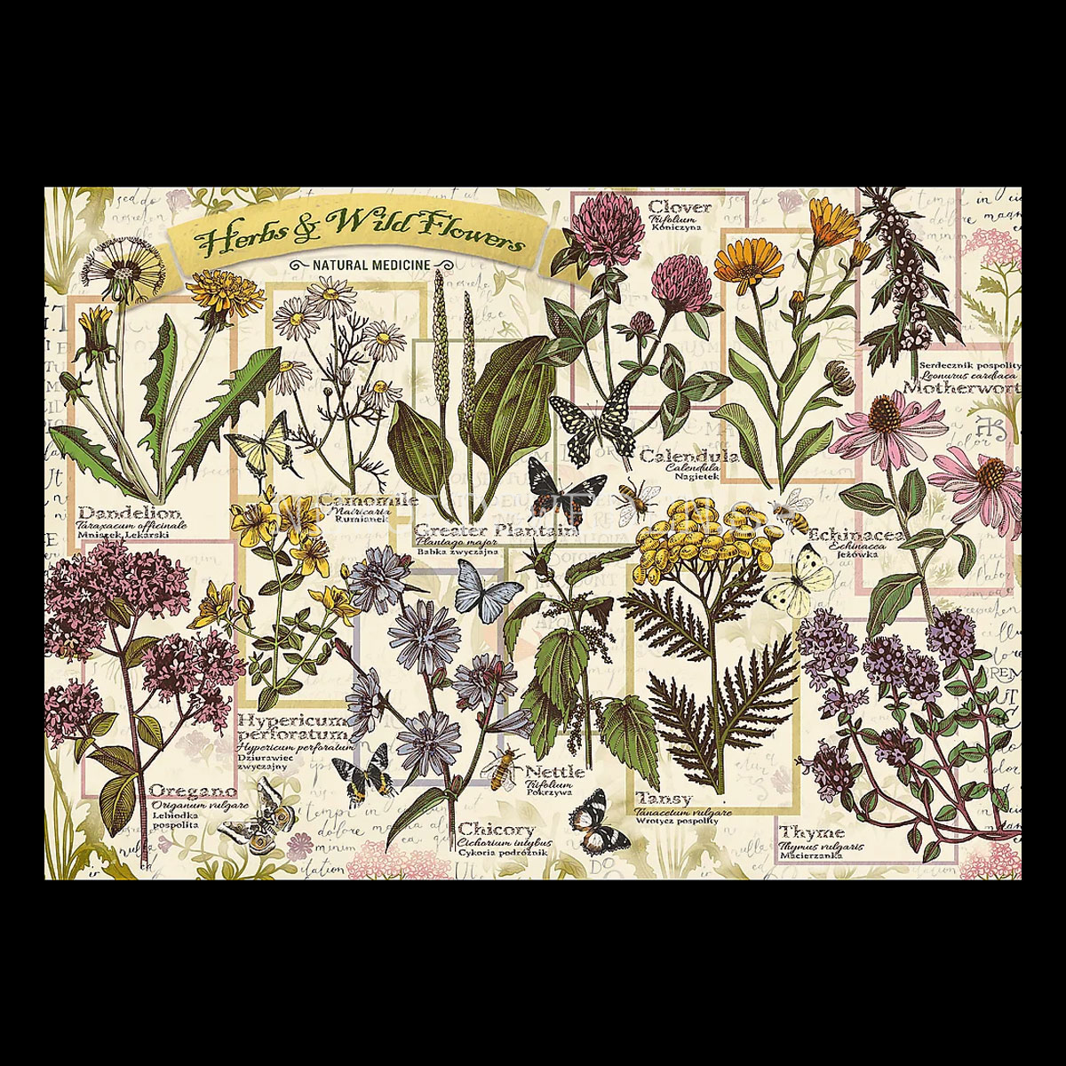 HERBS & WILD FLOWERS - Puzzle - 500 bitar - 48 x 34 cm - 2