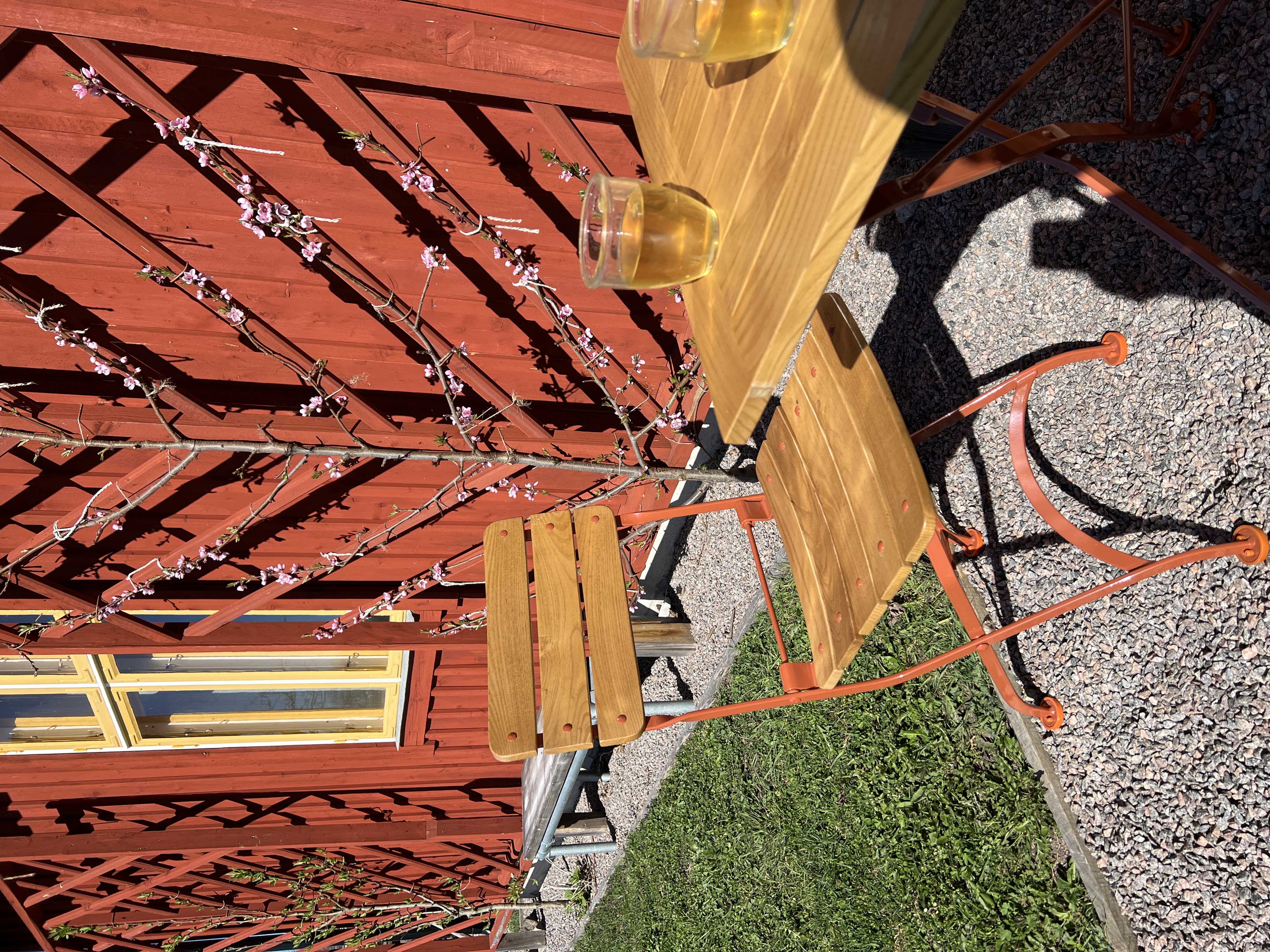 cafe-gardenchair- lght falu red