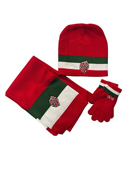 Barn set Mössa Halsduk Vantar