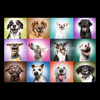 FUNNY DOGS FACES- Puzzle - 1000 bitar - 68.3 x 48 cm