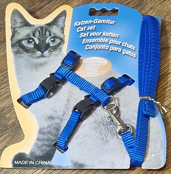Kattsele, blå med koppel