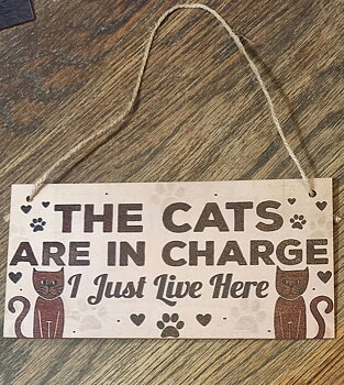 Skylt "The cats are in charge..."