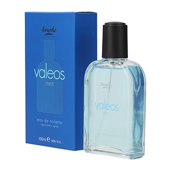 Ilvande EDT 100ml For Men Valeos