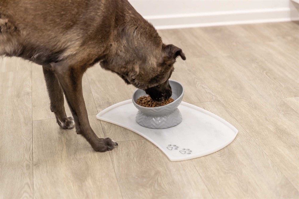 Trixie Raised Feeding Bowl - Grey