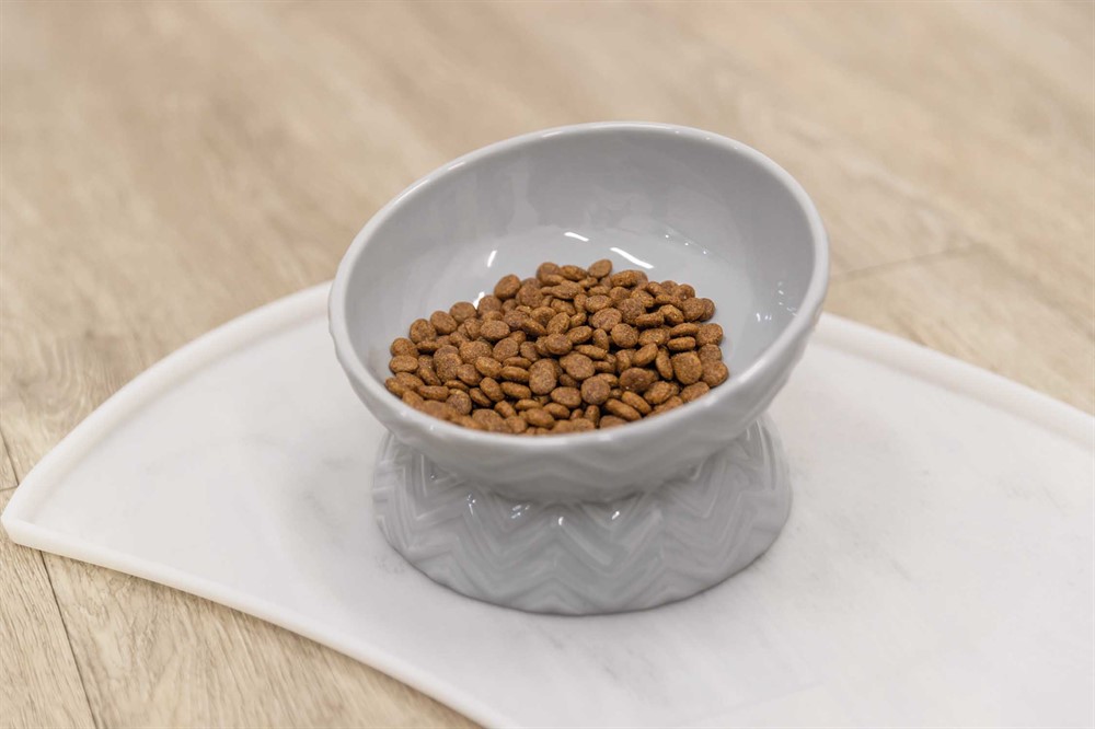Trixie Raised Feeding Bowl - Grey - Ergonomic