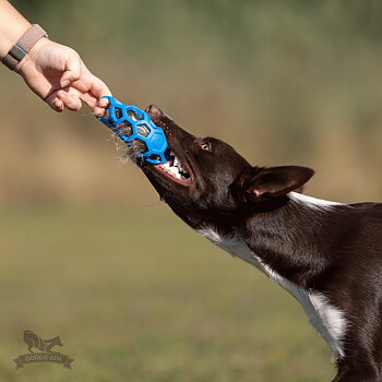 Badger Squeaker to Hol-ee Toys