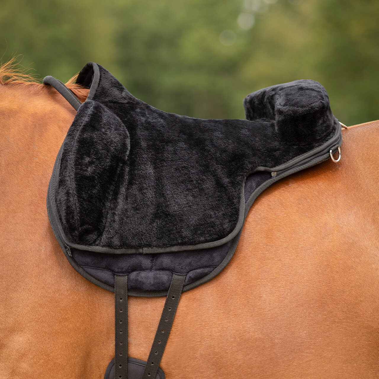 QHP Bareback pad super soft, black, cob - 17