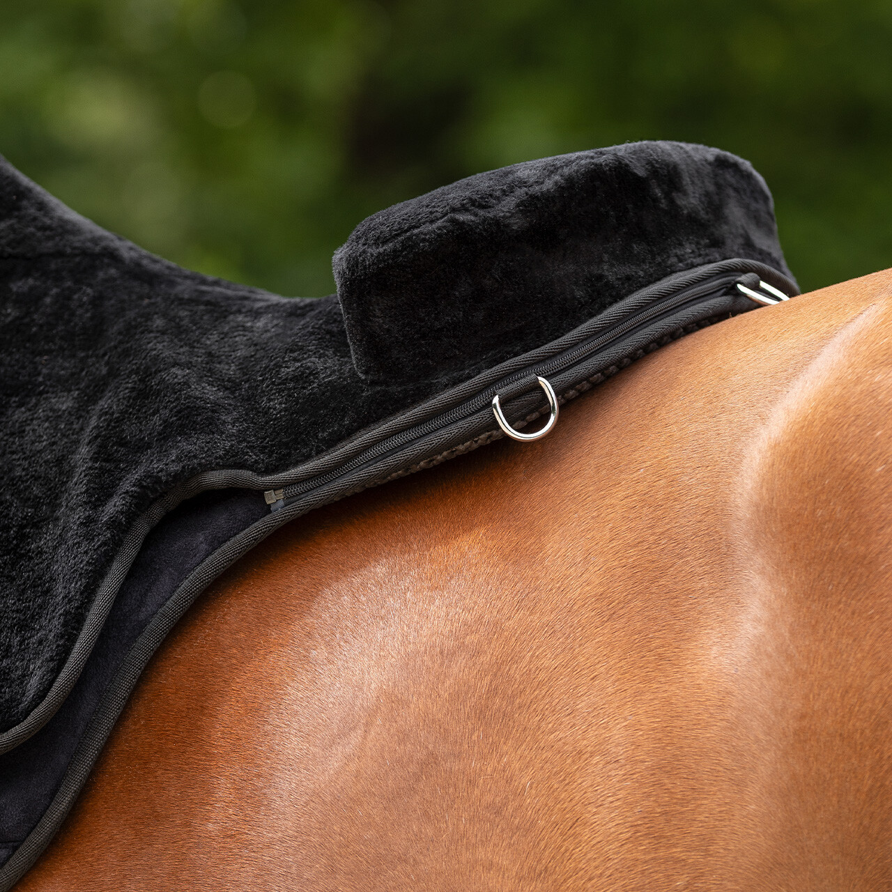 QHP Bareback pad super soft, black, full - 17
