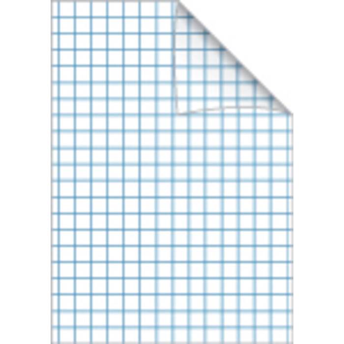 Räknehäfte A5 rutat 10x10mm - 2