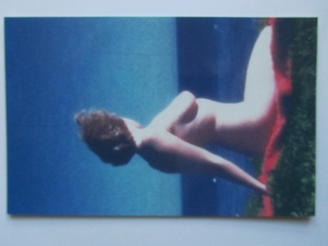 Pinup Vykort nr 14