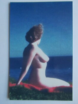 Pinup Vykort nr 14