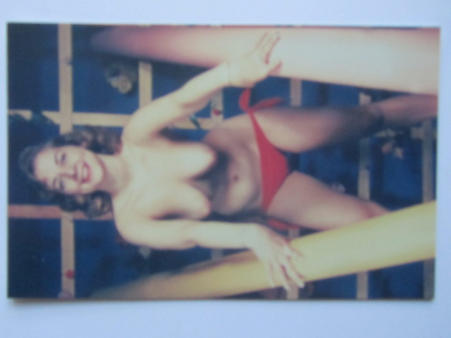 Pinup Vykort nr 17