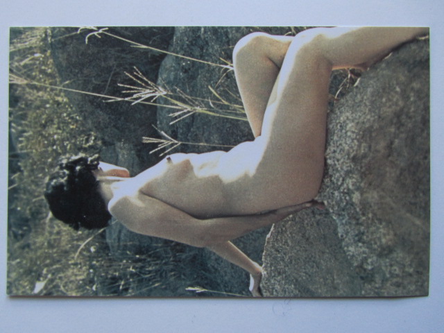 Pinup Vykort nr 252