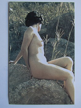 Pinup Vykort nr 252