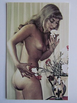 Pinup Vykort nr 255