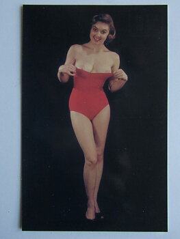Pinup Vykort nr 296