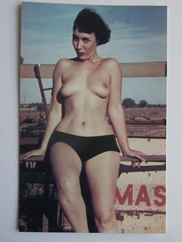 Pinup Vykort nr 301