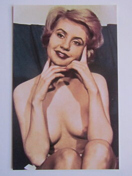 Pinup Vykort nr 250