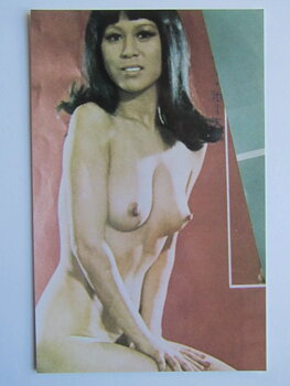 Pinup Vykort nr 257