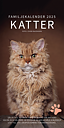 Kattkalender 2025