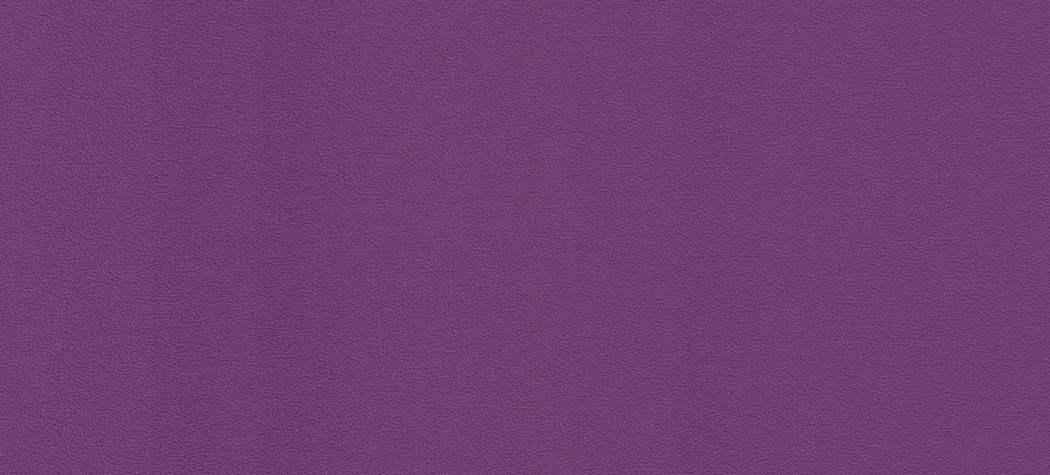 Cleanness lila
