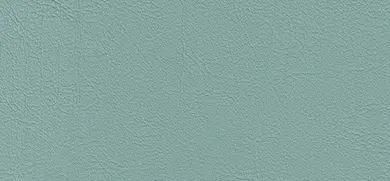 Cleanness Plus, Mint