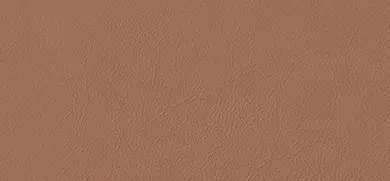 Cleanness Plus,  brun