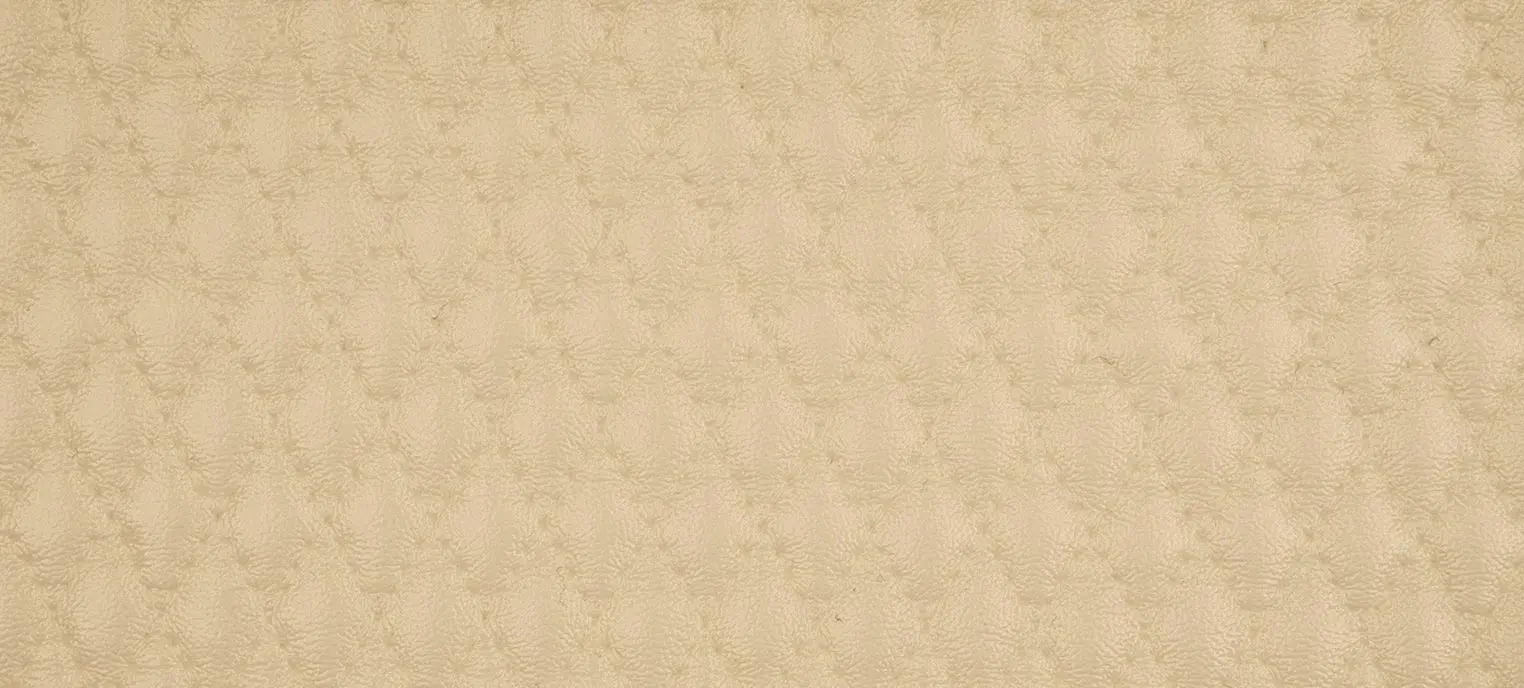 Exclusive quiltad, champange