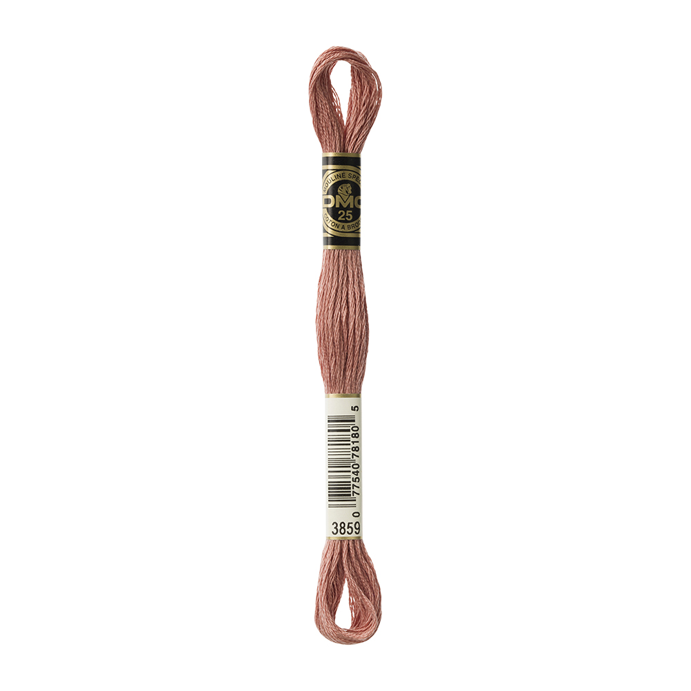 DMC Mouline 3859 - 2