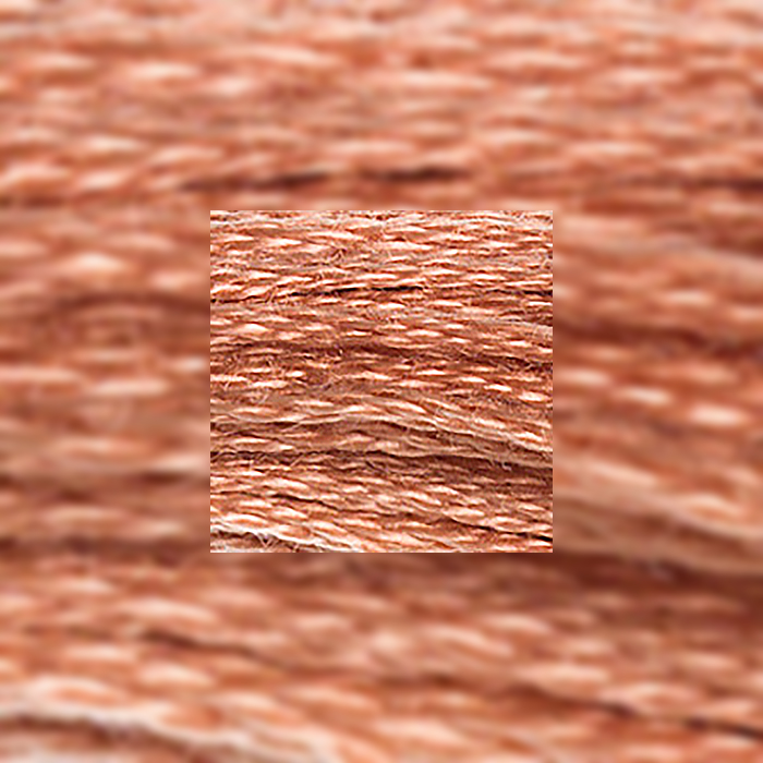 DMC Mouline 3064