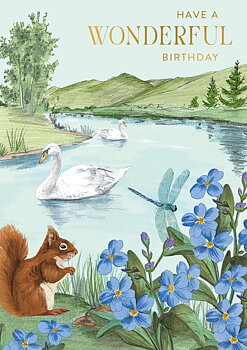 Habitania Lake Windermere Cumbria Greeting Card