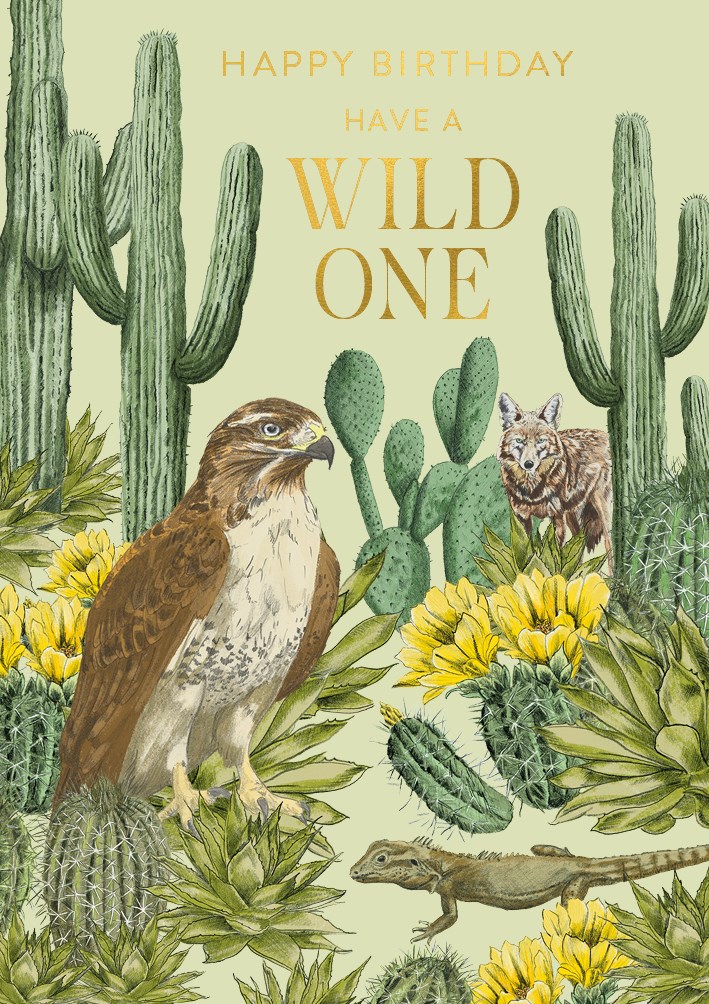 Habitania Sonaran Desert North America, Greeting Card